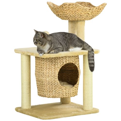 https://images.avasam.com/?url=https://avasamnew.s3.amazonaws.com/live/GB010126/15MOoBbcHFc0c=.jpg&w=500