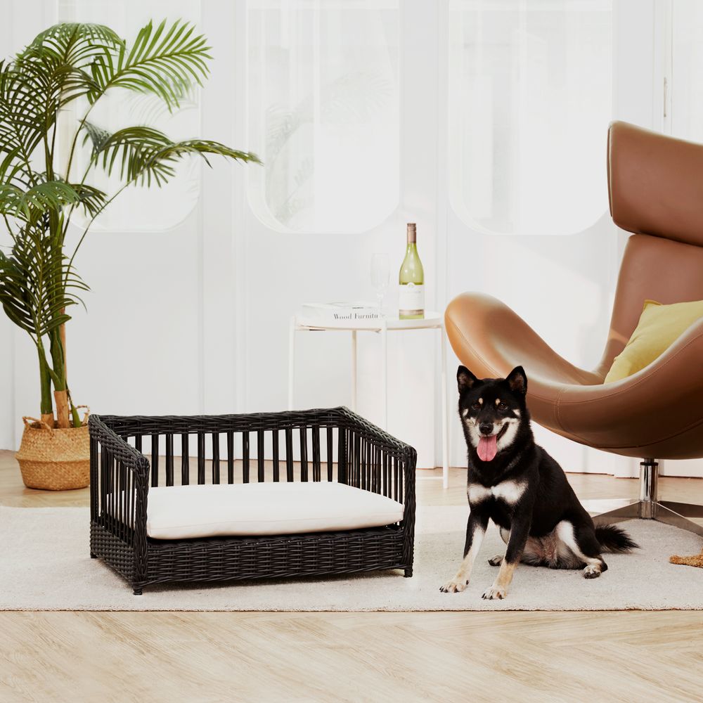 Indoor Outdoor Rattan Cat or Small Dog Bed Sofa Water Resistant