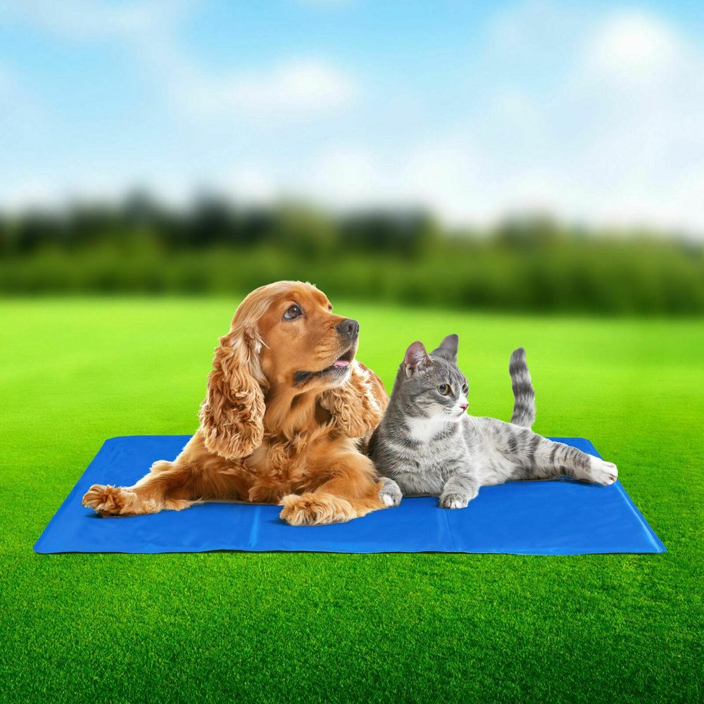 SELF COOLING COOL GEL MAT PET DOG CAT HEAT RELIEF NON-TOXIC SUMMER 40CM X 30CM