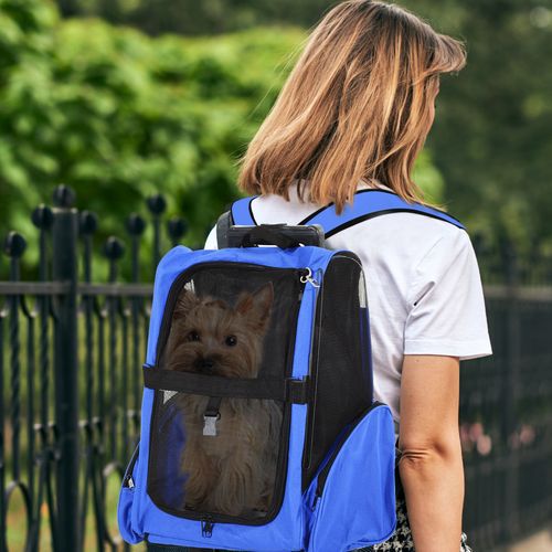 https://images.avasam.com/?url=https://avasamnew.s3.amazonaws.com/live/GB010126/S0671070984_12.jpg&w=500