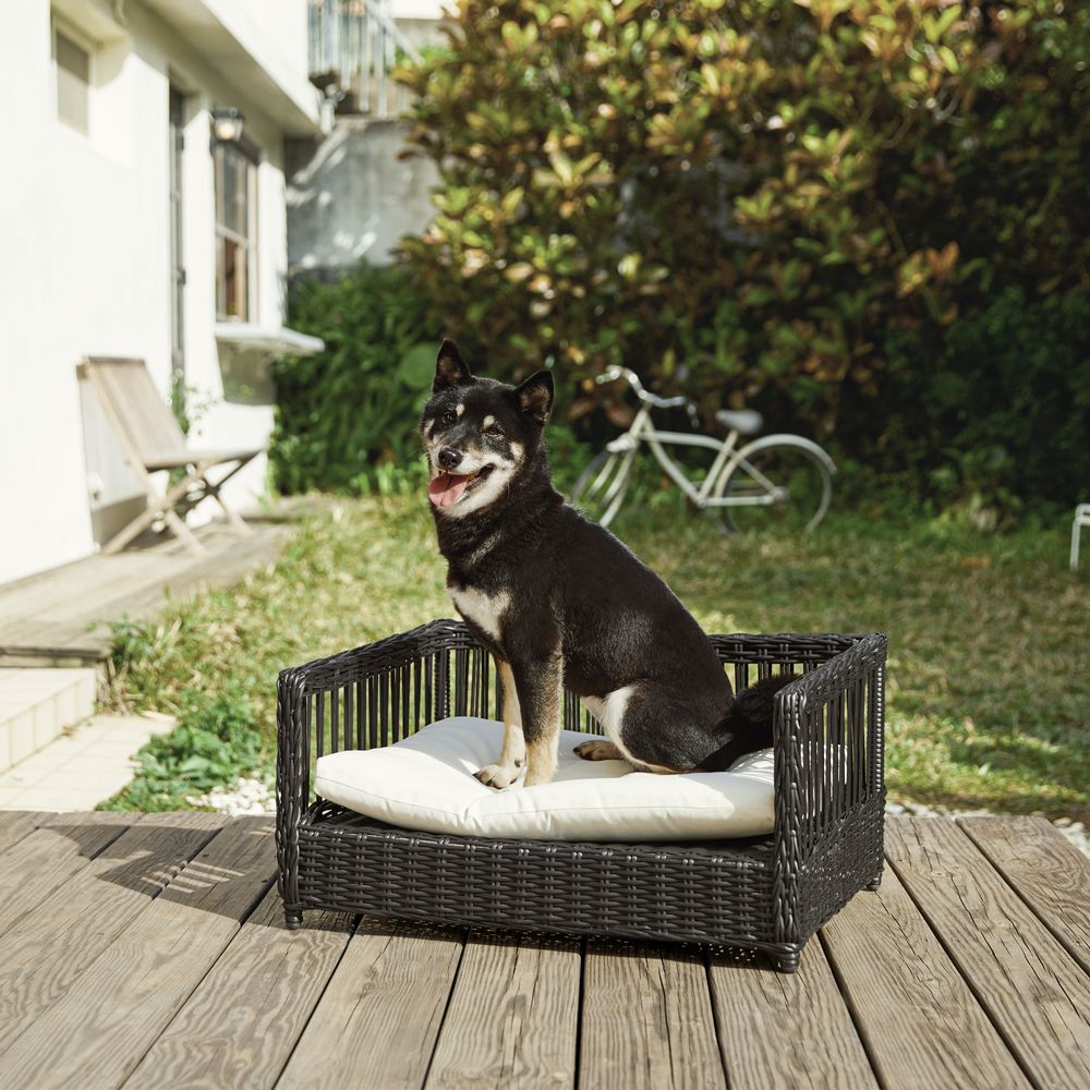 Indoor Outdoor Rattan Cat or Small Dog Bed Sofa Water Resistant