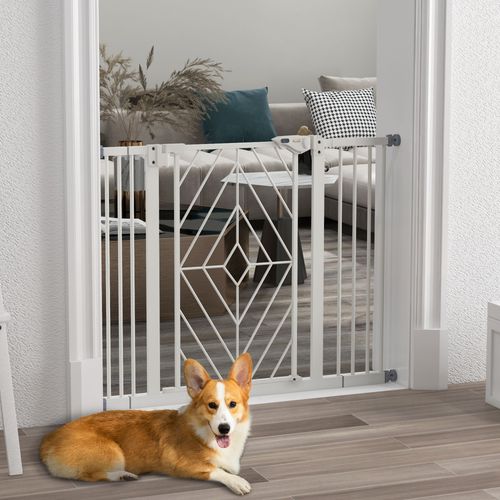 https://images.avasam.com/?url=https://avasamnew.s3.amazonaws.com/live/GB010126/00CFQ0Df95RBOz4=.jpg&w=500