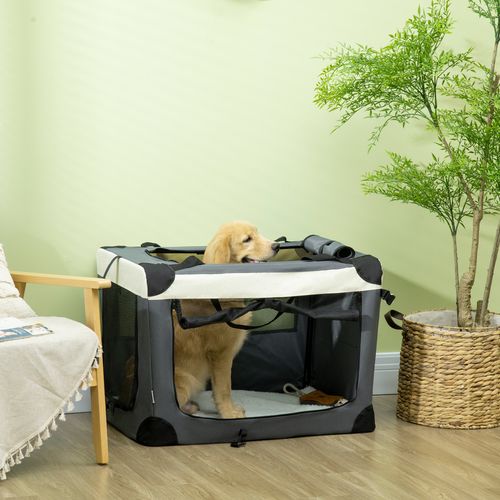 https://images.avasam.com/?url=https://avasamnew.s3.amazonaws.com/live/GB010126/S0671081128_12.jpg&w=500
