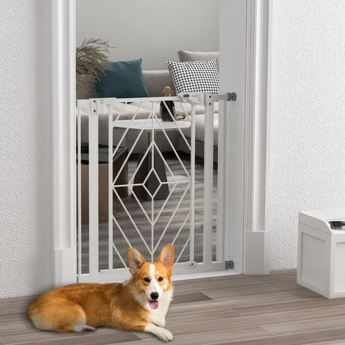 https://images.avasam.com/?url=https://avasamnew.s3.amazonaws.com/live/GB010126/aqDryfcjwCJF3ckETaOJrw==@oRXVWEFG1gVIsMPavWySmh8CqqbltNvboSE5pOrF9h8=.jpg&w=500