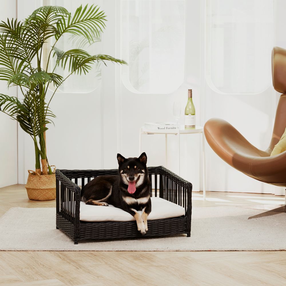 Indoor Outdoor Rattan Cat or Small Dog Bed Sofa Water Resistant