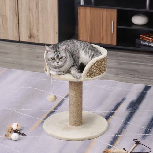 https://images.avasam.com/?url=https://avasamnew.s3.amazonaws.com/live/GB010126/S0671081242_12.jpg&w=500