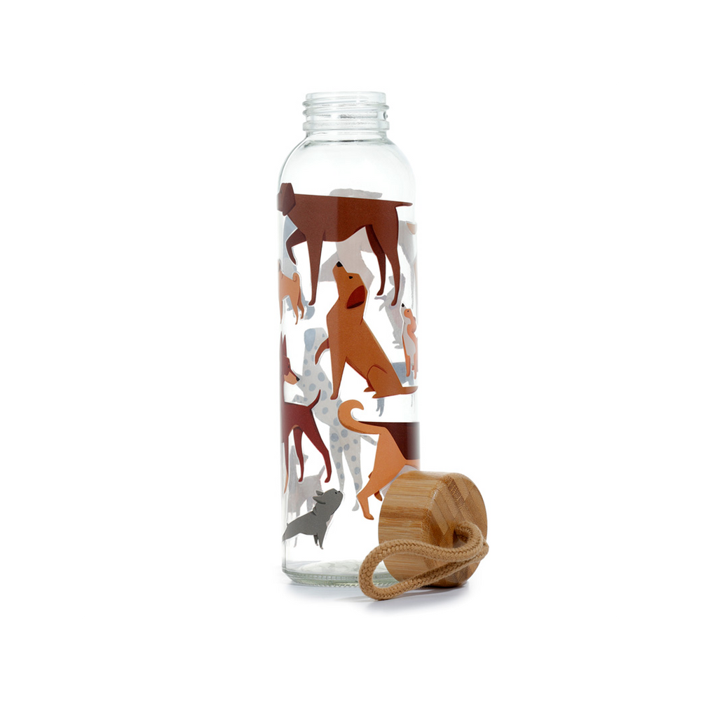 Reusable Glass Water Bottle - Bark Dog